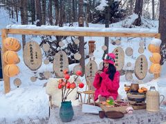 -峡谷浮石林景区