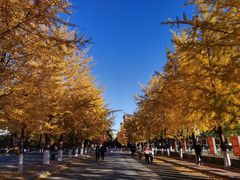 -辽宁大学(崇山校区)