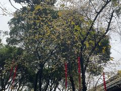 -天一阁博物院