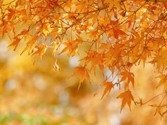 -苏州河梦清园环保主题公园