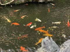 -广州白天鹅宾馆