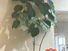-沏点Trattoria意大利餐厅(新街口店)