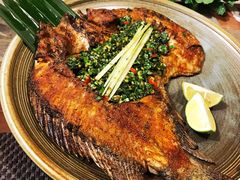 -滇越乘象云南餐厅(豆各庄店)