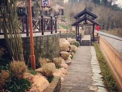 -崇阳三特浪口温泉