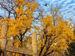 -苏州碑刻博物馆