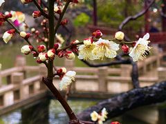 -莘庄公园