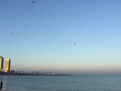 -小巴塞罗那海滩