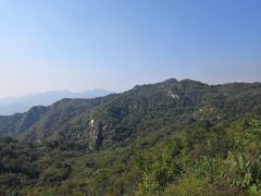-大岭沟猕猴桃谷风景区