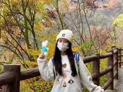 -少华山国家森林公园