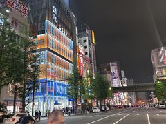 -秋叶原电器街