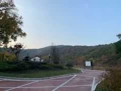 -龙寺生态园