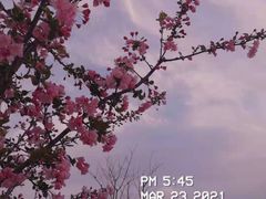 -龙美术馆(西岸馆)