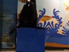 -太平洋海底世界