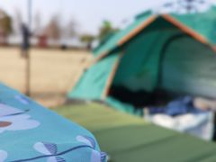 -春花秋色城市公园