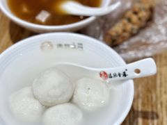 -海丝金凤(金鱼店)