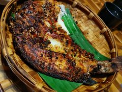 香茅草烤鱼-醉云喃