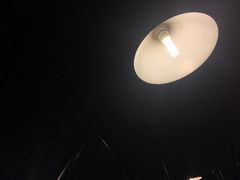 -伊人锅·魔石泡泡鱼