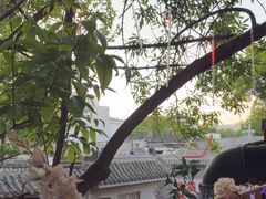-Santoor 萨都里印度餐厅(北锣鼓巷店)