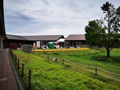 -轻井泽王子购物广场