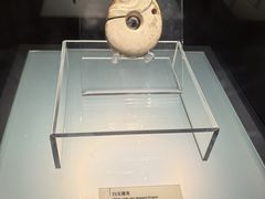 -辽宁省博物馆