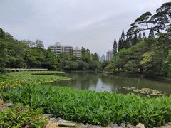 -荔枝公园(福田区)