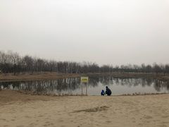 -东郊湿地公园