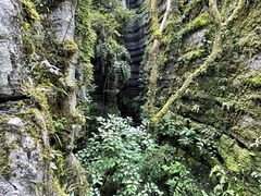 -梭布垭石林景区