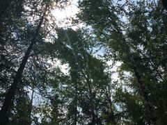 -峡谷浮石林景区