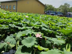 -千龙湖生态旅游度假区