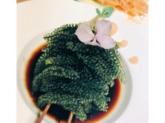 -安多素食(广仁寺路店)