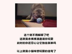 -爱侣宠医·鹦鹉专科·小型哺乳类·异宠专科(灵石路店)