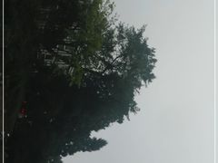 -重庆抗战遗址博物馆