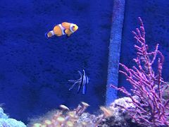 -成都浩海立方海洋公园