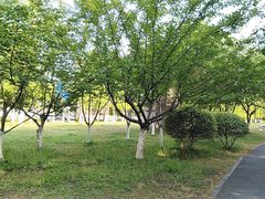 -范蠡湖公园
