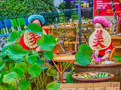 -赵美丽·重庆社区火锅·直营店(火车东站·中豪国际店)