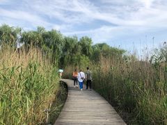 -白塔湖国家湿地公园