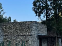 -MOJ coffee(瓯海泽雅水碓坑店)