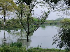 -铭莲·八卦田水上餐厅