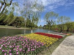 -上海鲜花港