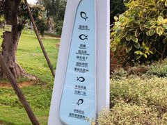 -琅岐红光湖公园