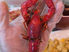 -簋街仔仔小龙虾(总店)