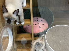 -美联众合24小时·皮肤科·外科·全科诊疗中心(华苑分院)