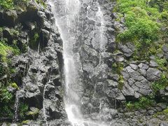 -望天鹅景区