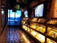 -云海肴·汽锅鸡·云南代表菜(天津国金汇店)