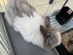 -小意思咖啡店(草桥店)