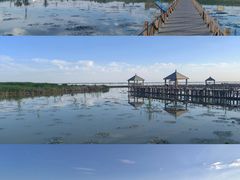 -哈素海