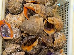 -赶海部落海鲜城(海阳路店)