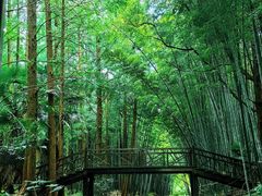 -同里国家湿地公园