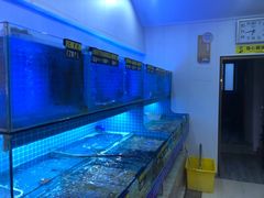 -江南村海鲜馆(洞头店)
