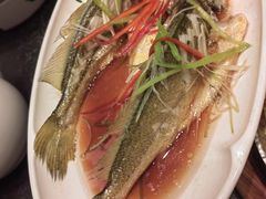 -前海沿·青岛菜(大拇指广场石老人店)